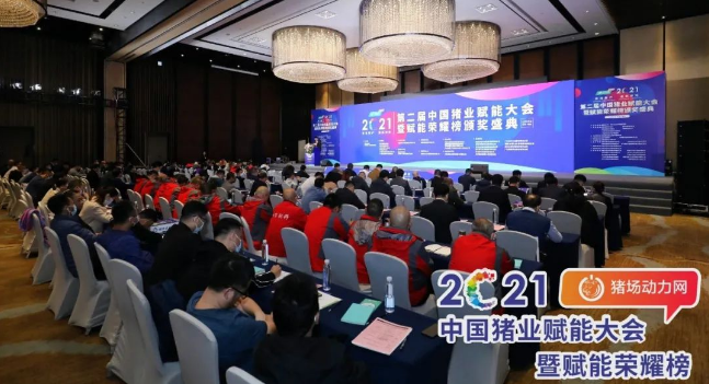 正康生?Plus榮獲“2021年度匠心飼料添加劑”！