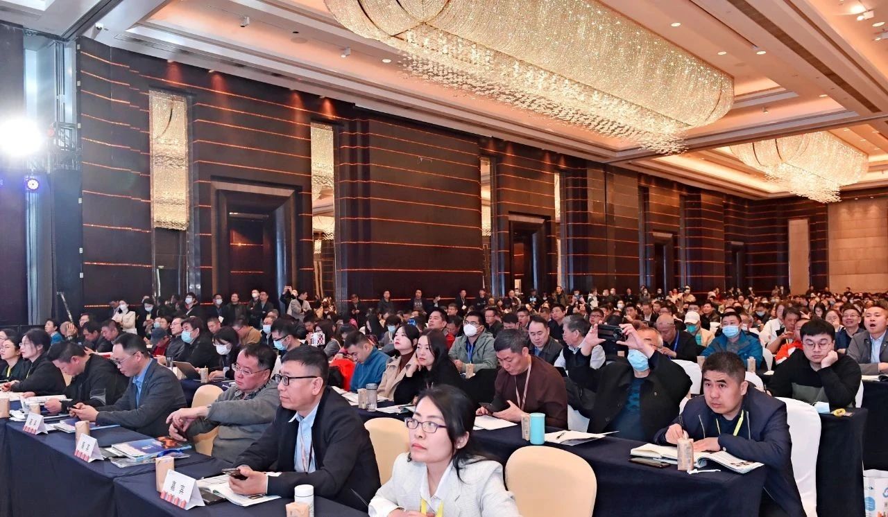 千人聚首盛況再現！中國雞的原籍菌遭瘋搶！